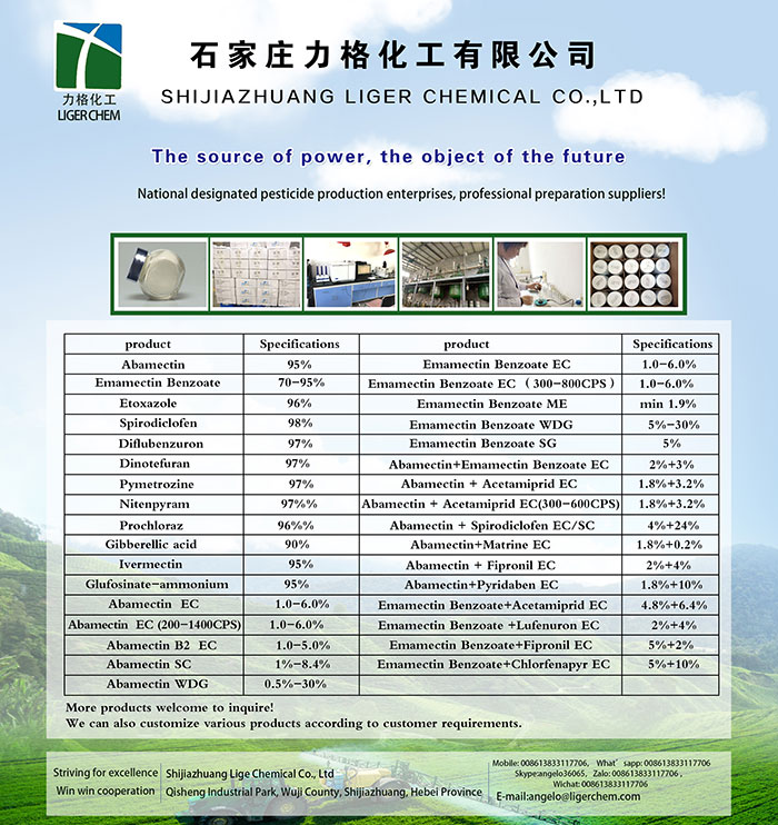 力格产品小卡片英文版网站用.jpg